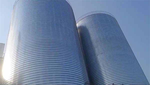 沙依巴克2座混凝土高架卷板仓